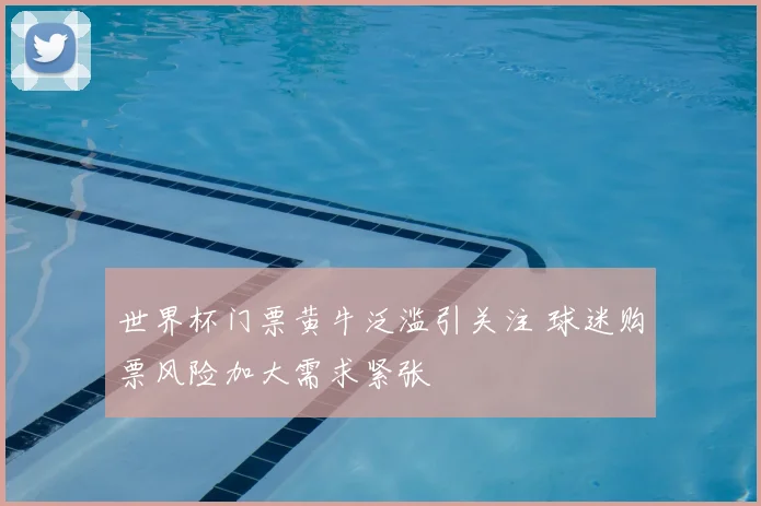 世界杯门票黄牛泛滥引关注 球迷购票风险加大需求紧张