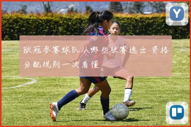 欧冠参赛球队从哪些联赛选出 资格分配规则一次看懂