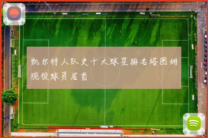 凯尔特人队史十大球星排名塔图姆现役球员居首