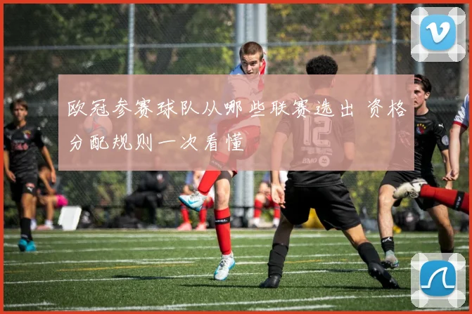 欧冠参赛球队从哪些联赛选出 资格分配规则一次看懂
