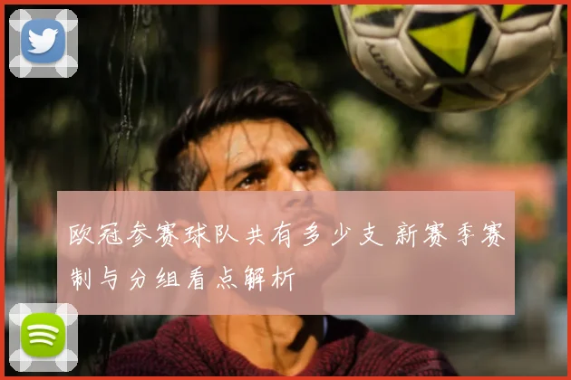 欧冠参赛球队共有多少支 新赛季赛制与分组看点解析