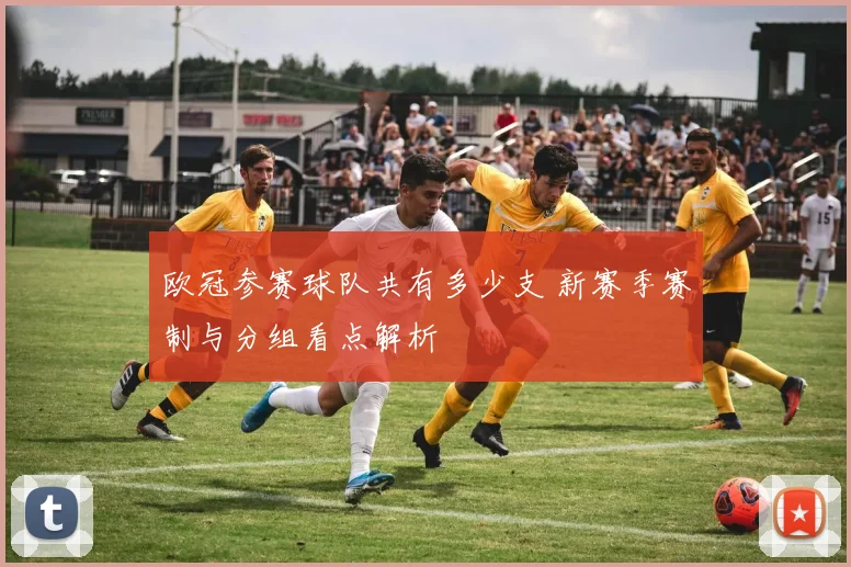 欧冠参赛球队共有多少支 新赛季赛制与分组看点解析